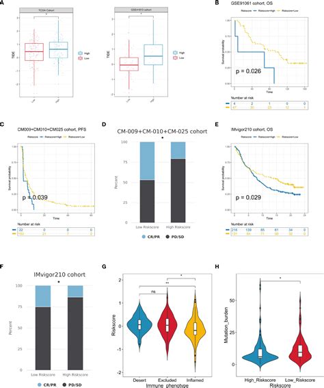 Frontiers Identification Of Hypoxia Related Molecular Classification