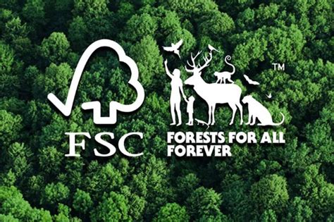 mengenal fsc sertifikasi  keberlanjutan hutan dunia