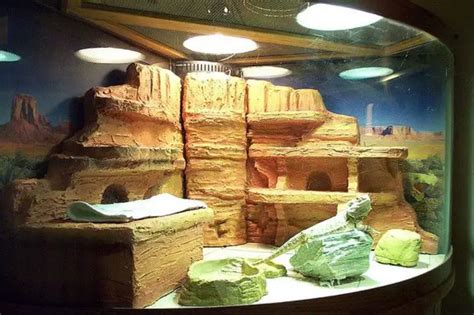 Best Basking Rock For Bearded Dragon In 2020 Top 8