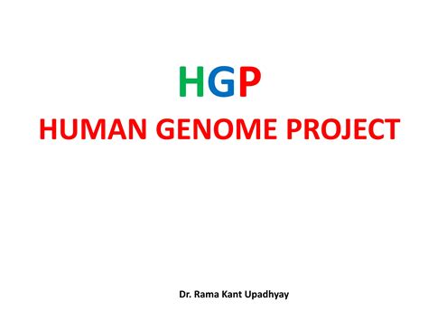 Human Genome Project Class Xii Biologypptx