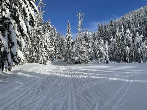 Cabin Creek Snowshoe — Washington Trails Association