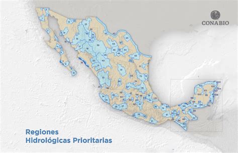 Regiones Hidrológicas de México Un Profundo Análisis de la Hidrología