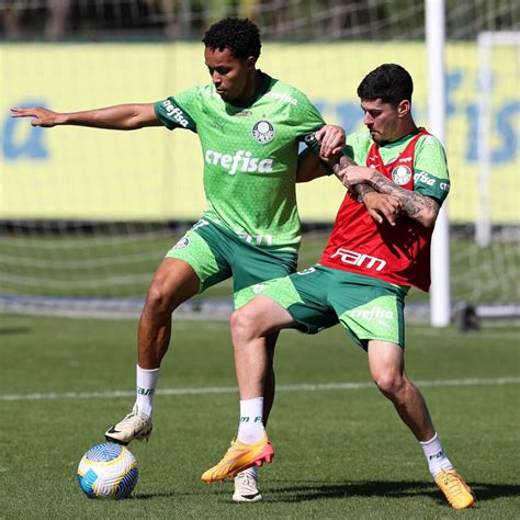 Confira Fotos Do último Treino Do Palmeiras Antes De Enfrentar O Vasco