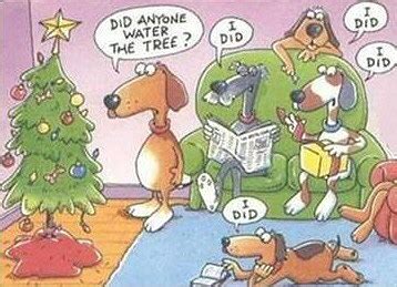 Funny Christmas Dog Pictures Stories Jokes