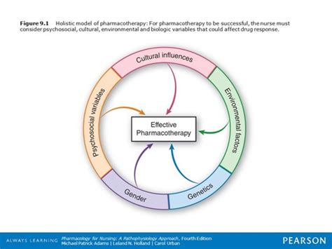 Pharm Patho Chapter 9 Flashcards Quizlet