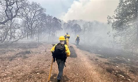 Combatientes De Incendios Forestales Héroes Protectores De Los Bosques De Oaxaca