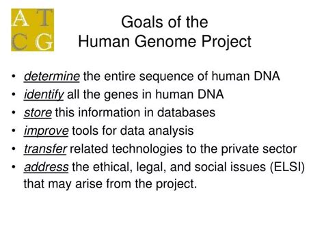 Ppt Goals Of The Human Genome Project Powerpoint Presentation Free