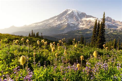 WASHINGTON STATE NATURE AND LANDSCAPE PHOTOGRAPHY | Randy Bott Photography