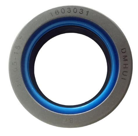 Dmhui B Oil Seal With Rwdr Kombi Style For Crankshaft