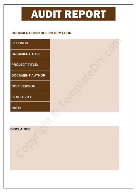 Audit Report Template Blank Printable Pdf Excel And Word In 2022