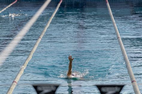 Partenaires Les Dauphins Du Toec