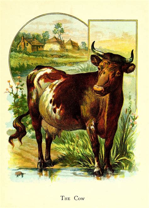 stock photo public domain pictures