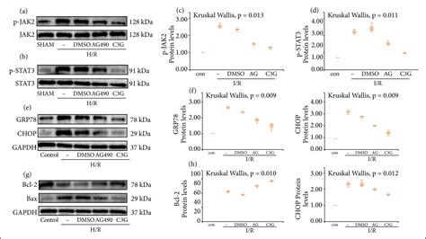 SciELO Brasil Cyanidin 3 O Glucoside Plays A Protective Role