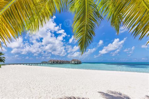 Fantastic Maldives land beach, coastline with palm trees, white sand ...