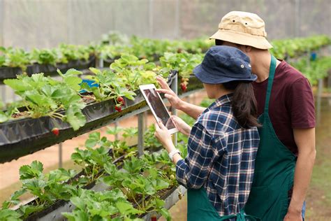 La agricultura digital y su implementación en Colombia Uniandinos