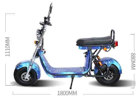 New Style Fat Tire Electric Scooter City Coco Citycoco Eec Coc