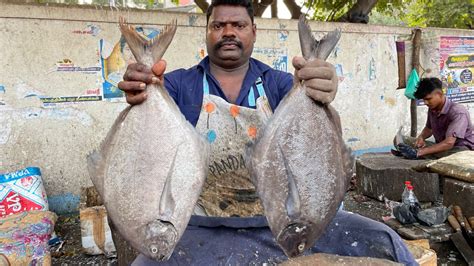 KASIMEDU SPEED SELVAM BLOCK POMFRET FISH CUTTING IN KASIMEDU FISH