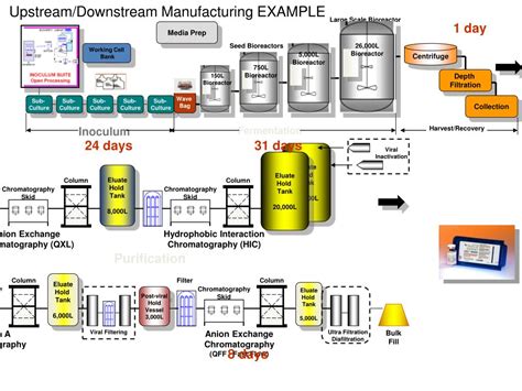 PPT - Downstream Processing PowerPoint Presentation, free download - ID ...