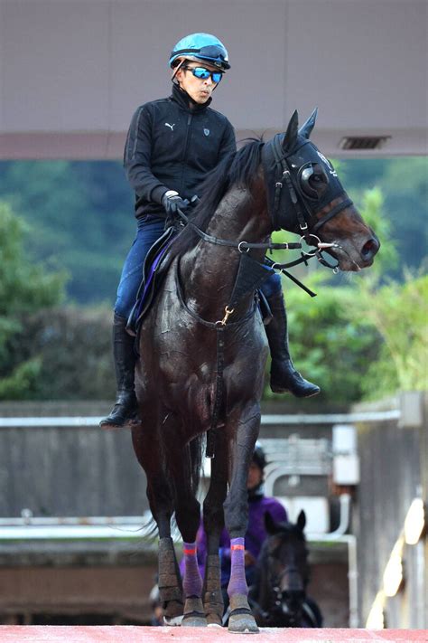 【菊花賞】福永祐一騎手×友道康夫調教師「馬券圏内ナンバー1コンビ」セレシオンで一発狙う Umatoku 馬トク