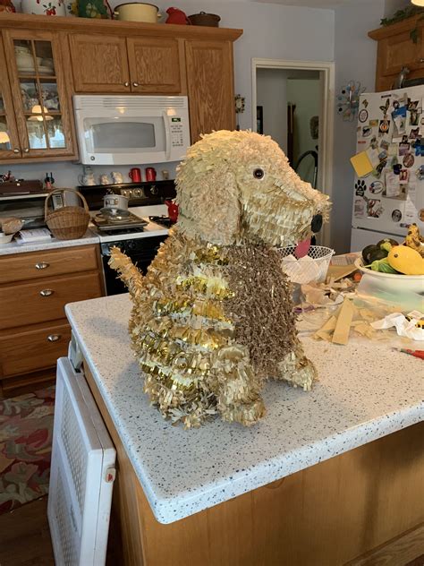 Charlie the Golden Doodle. | Goldendoodle, Doodles, Charlie