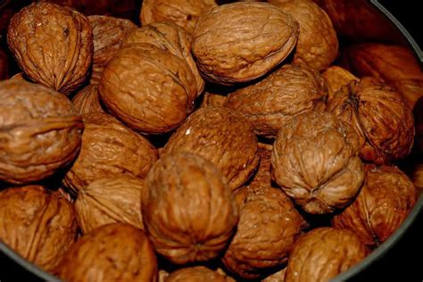 Black Walnuts Vs English Walnuts The Ultimate Showdown Environment