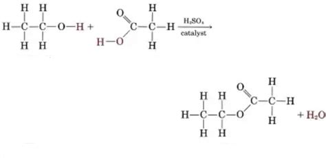 Draw The Structural Formula To Show The Reaction Between Ethanol And Ethanoic Acid And Name The