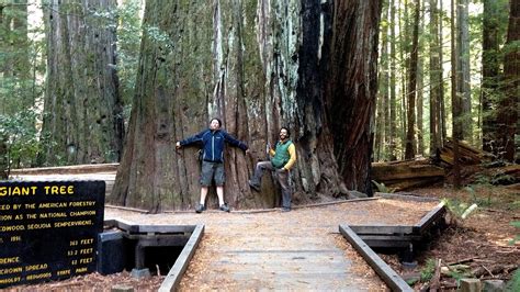 Humboldt Redwoods State Park Camping - Trip to Park