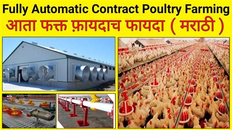 101 Fully Automatic Contract Poultry Farming Profit Suguna Venky