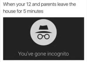 Incognito : r/memes