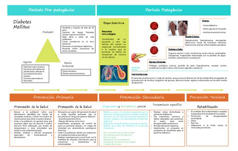 Historia Natural De La Enfermedad Diabetes Mellitus Tipo Periodo The