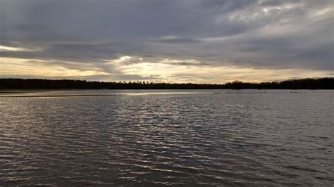 Natur auf der Spur in Dessau Hochwasser Elbe geht langsam zurück 01