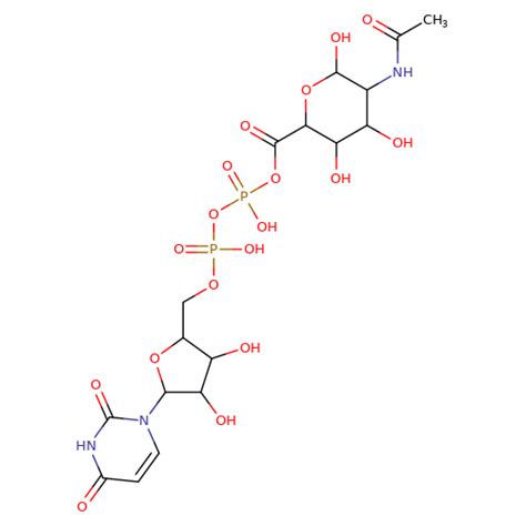 Mu63243 25174 34 9 Udp N Acetyl D Mannosaminuronic Acid