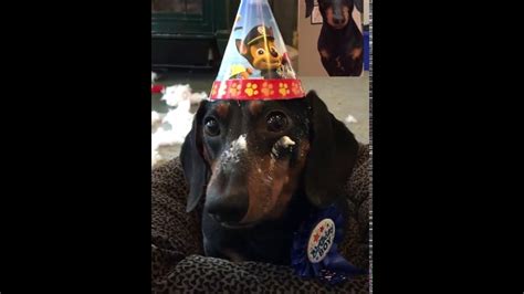 Crusoe Facetimes His Brother Oakley On His Birthday Youtube