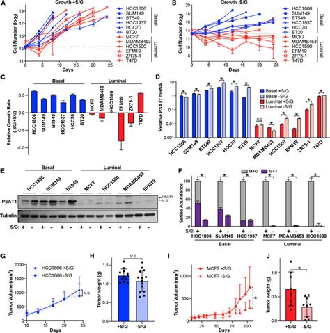 Luminal Breast Cancer Cells Are Auxotrophic For Serine A And B Basal