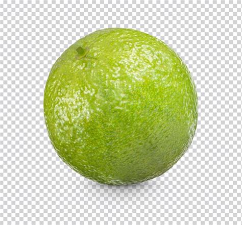 Premium Psd Fresh Lime Isolated Premium Psd