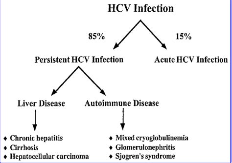 Hepatitis C Virus Infection