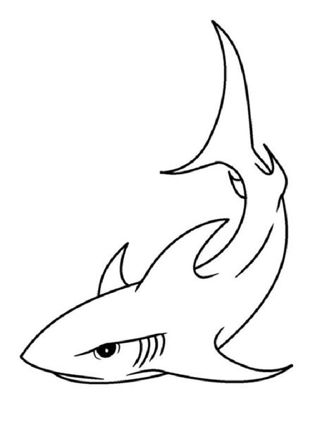 Whale Shark Coloring Page