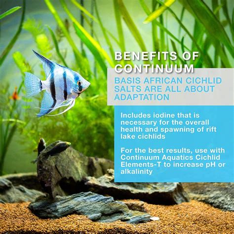 Continuum Aquatics Inchbasis African Cichlid Saltsinch Professional