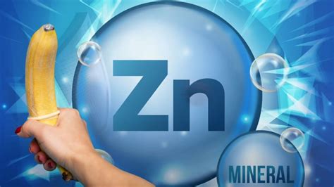 Zinc El Mineral Que Puede Aumentar Tu Potencia Sexual Y Mejorar Tus