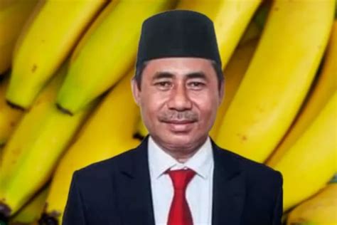 Pimpin Daerah Dengan Jumlah Pisang Terbanyak Di Maluku Utara Bupati