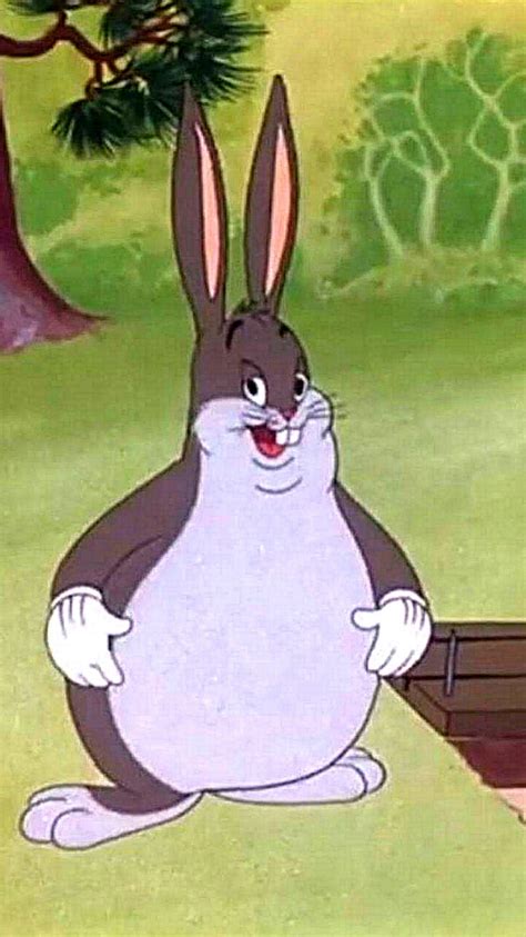 Big Chungus Wallpaper Meme Big Chungus Meme Wallpaper Download To ...