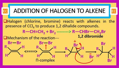 The Diagram Shows An Arrangement Of Alkenne And Other Substances Including Hydrogens