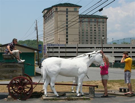 The Carpetbagger: Cherokee, NC