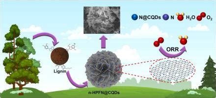 木质素衍生的分层多孔花状碳纳米片装饰有生物质碳量子点用于高效氧还原 Colloids and Surfaces A