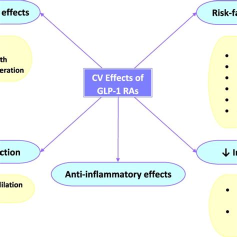 Title: Direct and indirect effects of GLP-1 RAs on the cardiovascular ...