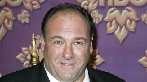 Murió James Gandolfini El Protagonista De Los Soprano