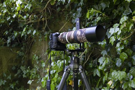 Telephoto Lenses Wildlife Photography Scotland