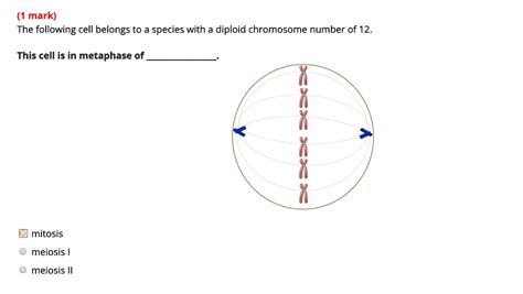 SOLVED 1 Mark The Following Cell Belongs To A Species With A Diploid