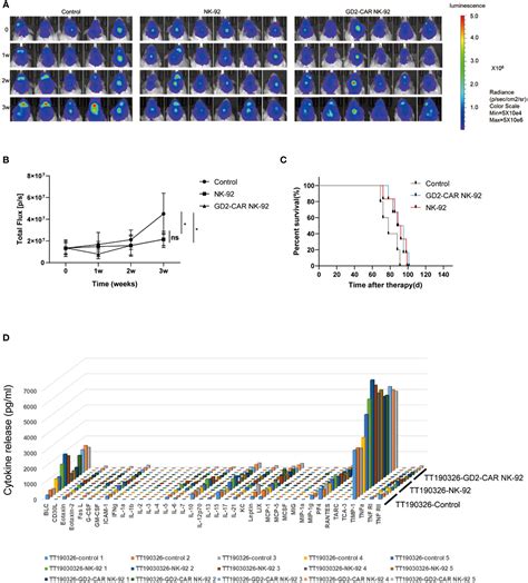 Frontiers Anti Tumor Efficacy Of Anti Gd2 Car Nk 92 Cells In Diffuse