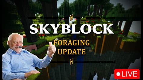 NEW PROFILE HYPIXEL SKYBLOCK GRINDING YouTube